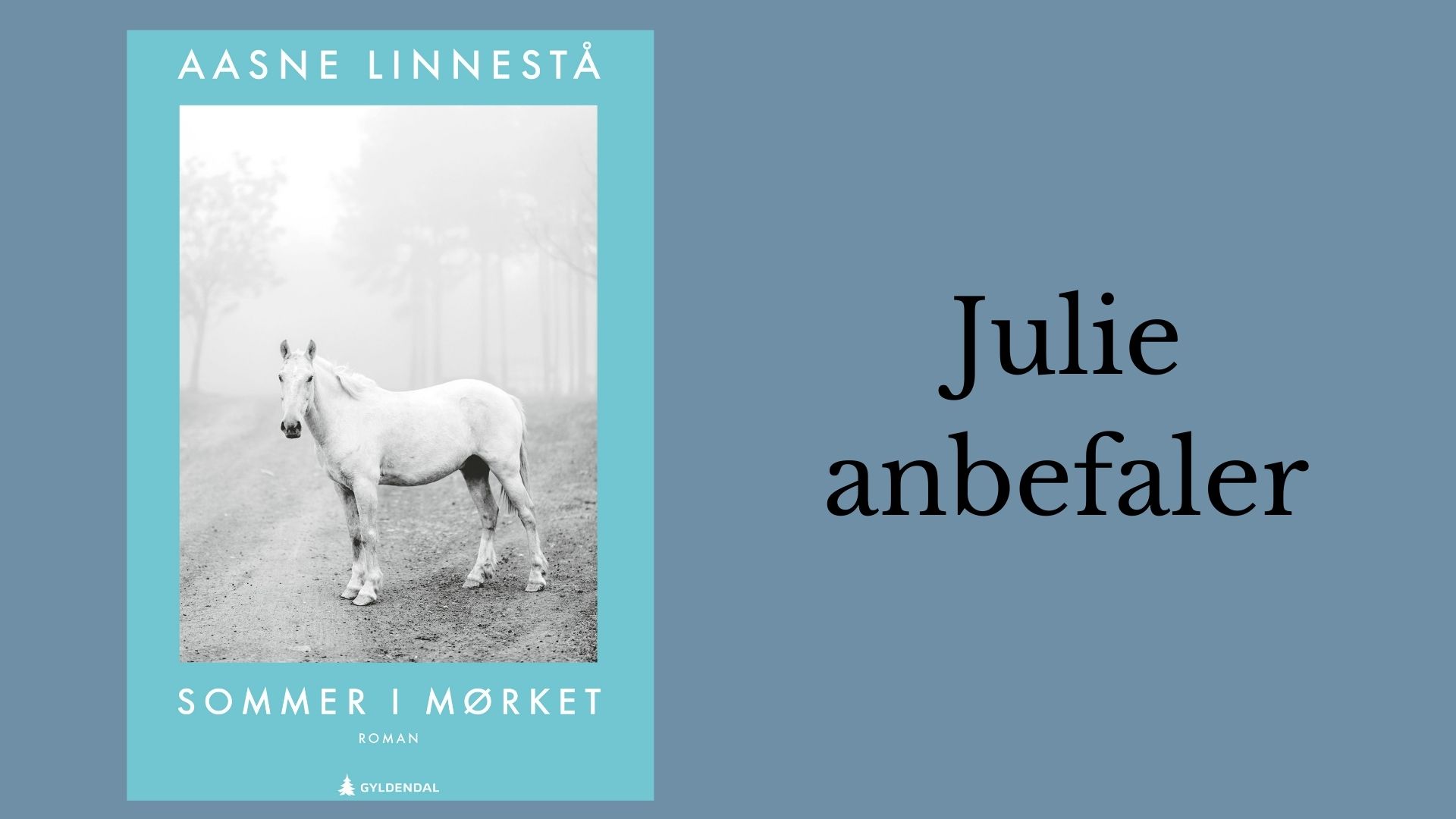 Julie anbefaler Sommer i mørket