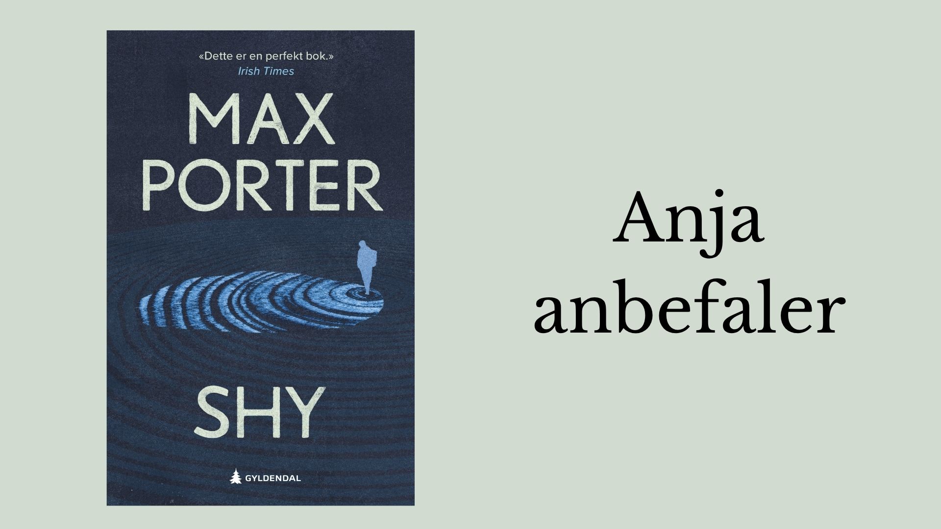 Anja anbefaler Shy