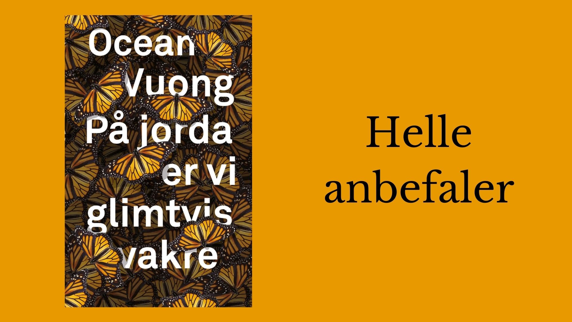 Helle anbefaler På jorda er vi glimtvis vakre