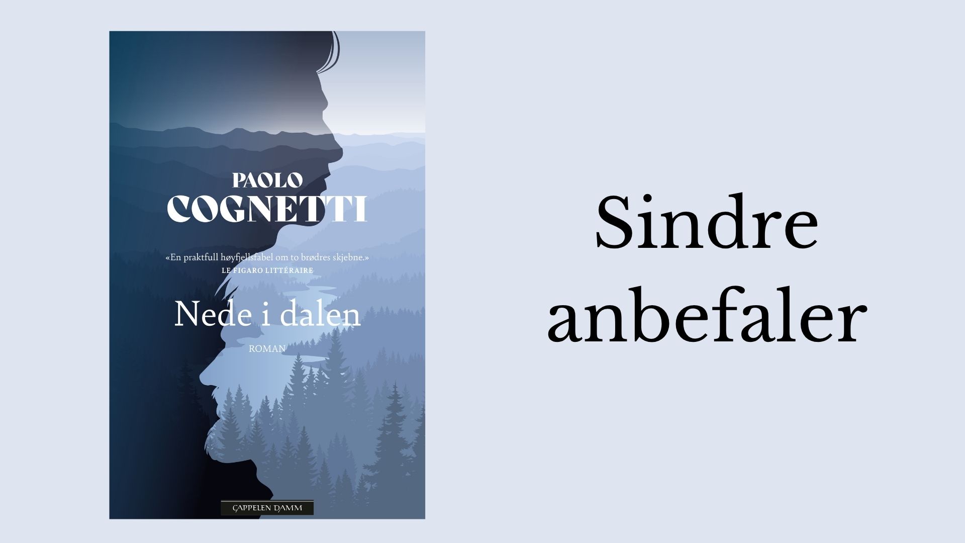 Sindre anbefaler Nede i dalen