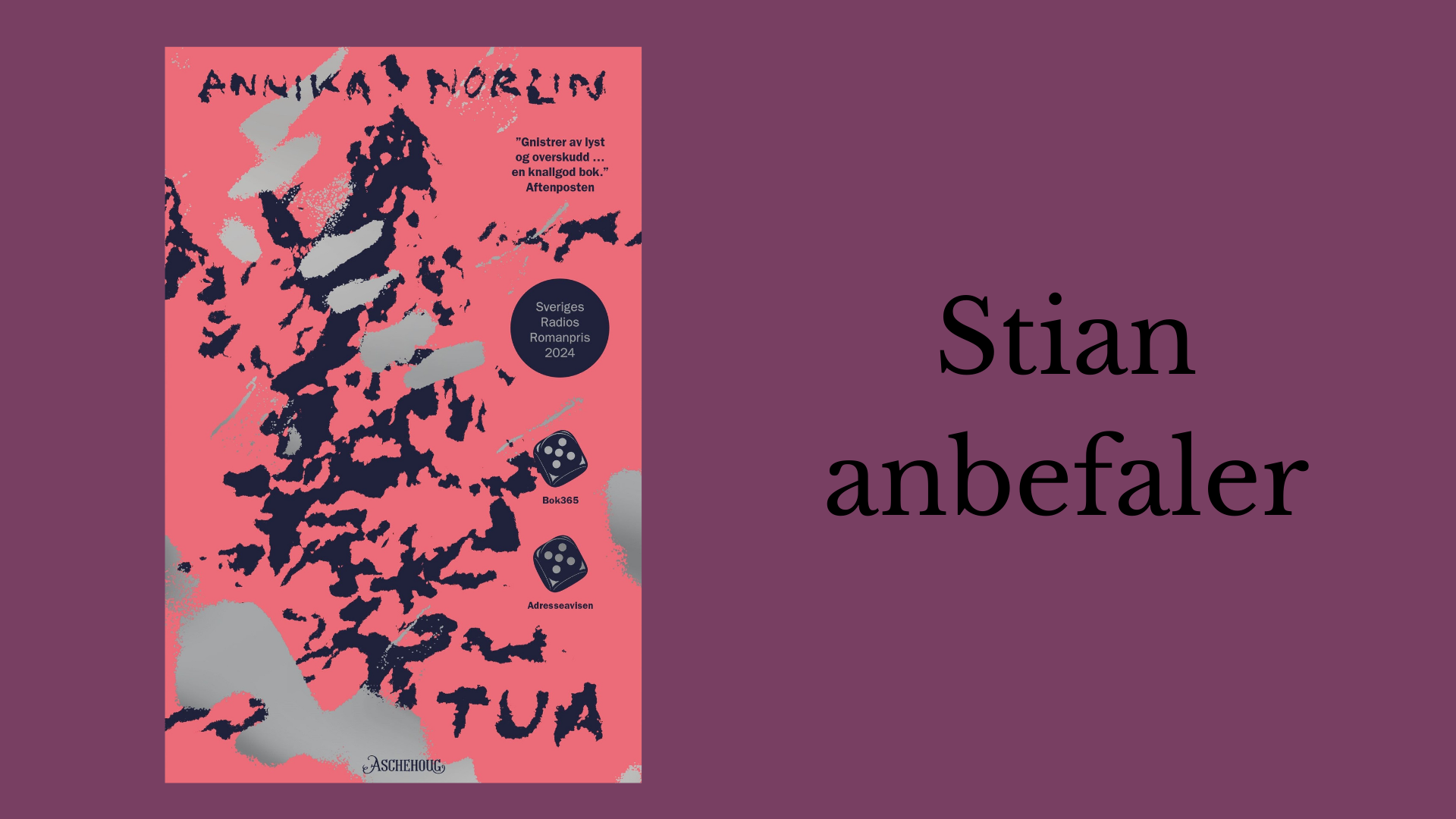 Stian anbefaler Tua